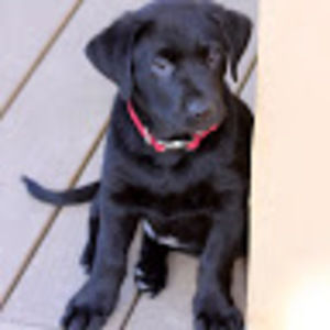 Meet your Posher, Aoife